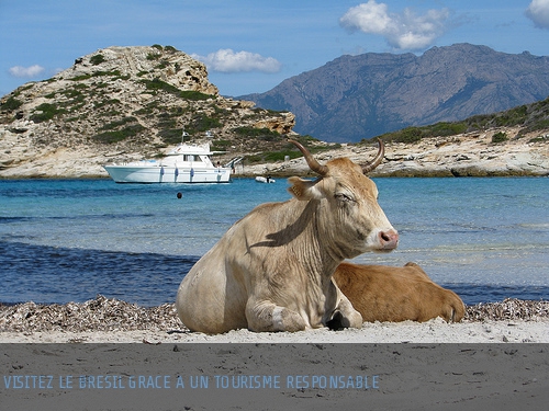 Le guide de vacances mémorables au Brésil